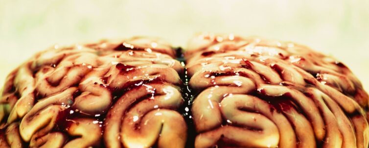 Brain cake with strawberry jam