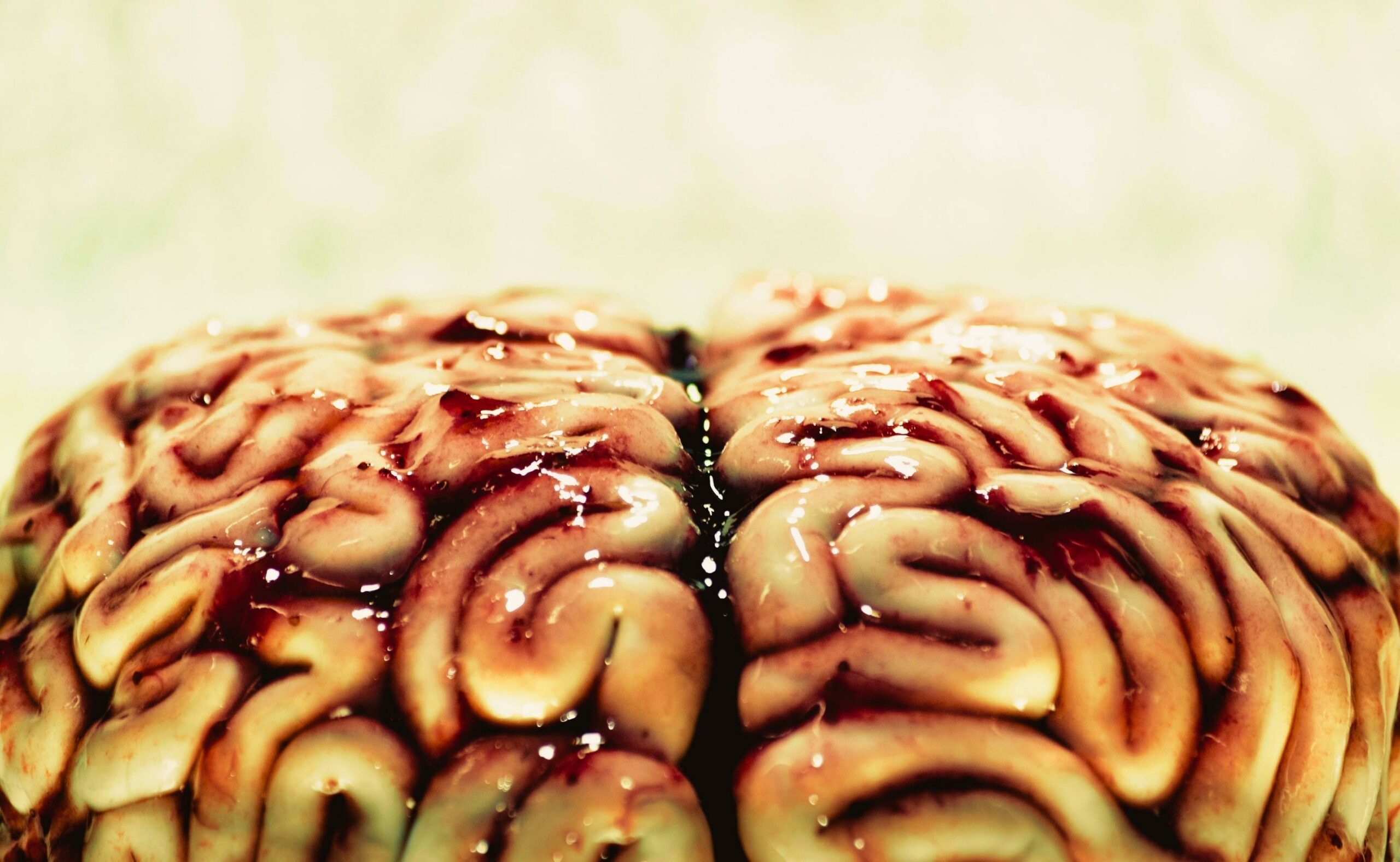 Brain cake with strawberry jam