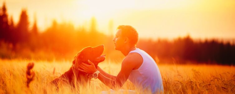 Young man with his dog in the field at sunset