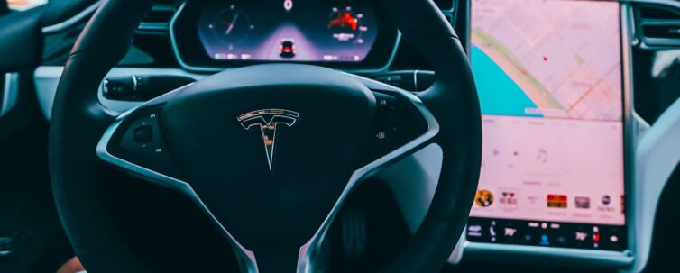 person sitting inside tesla car