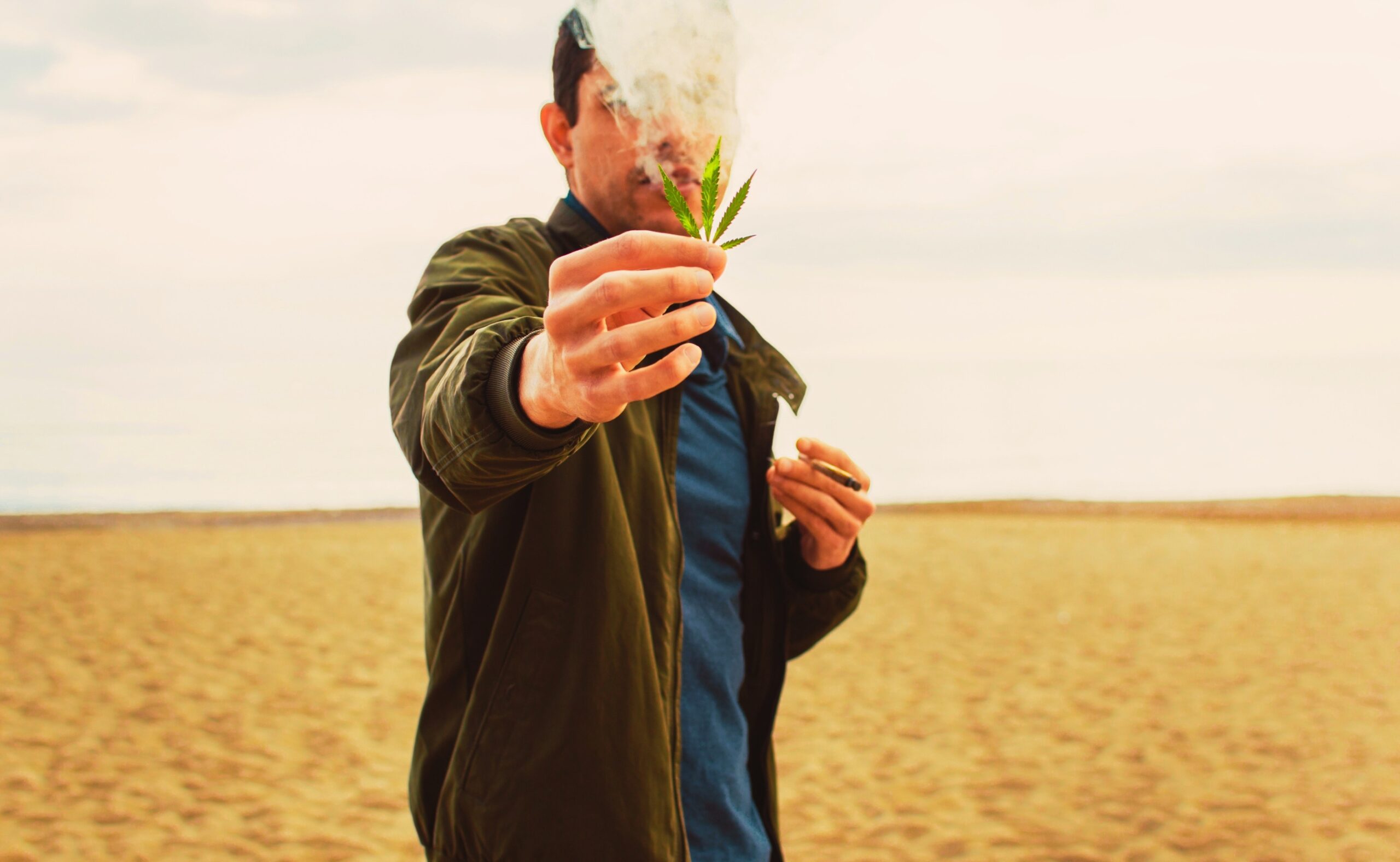 Young man holding marijuana leaf and smoking a cannabis joint on the beach