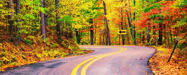 An S curve road lined with fall foilage