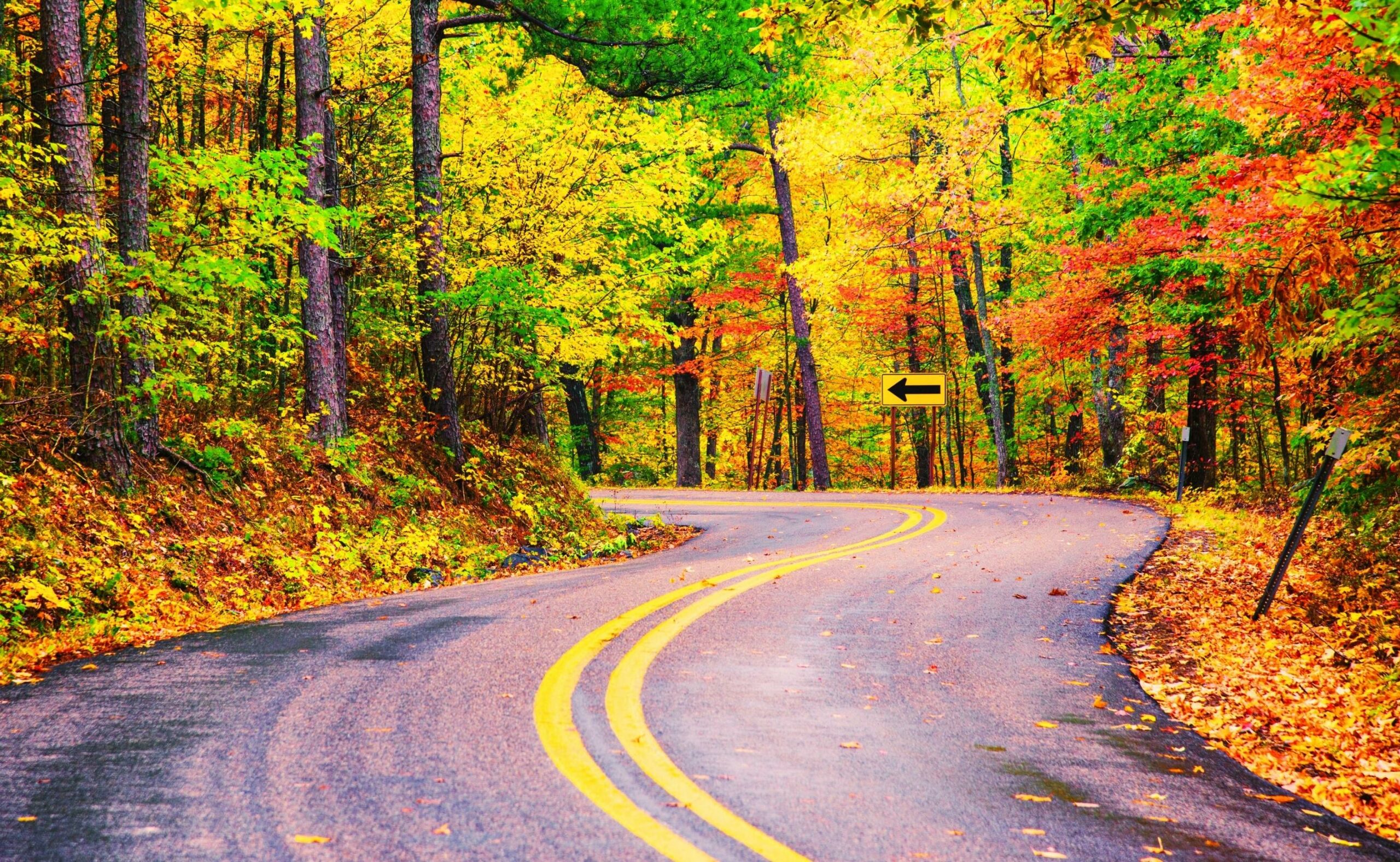An S curve road lined with fall foilage